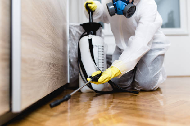 Best Emergency Pest Control  in North Cape May, NJ