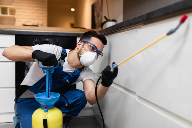 Best Wildlife Control Services  in North Cape May, NJ