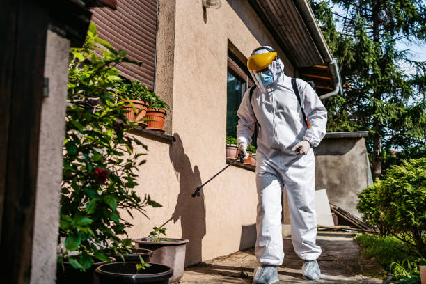 Best Residential Pest Control  in North Cape May, NJ