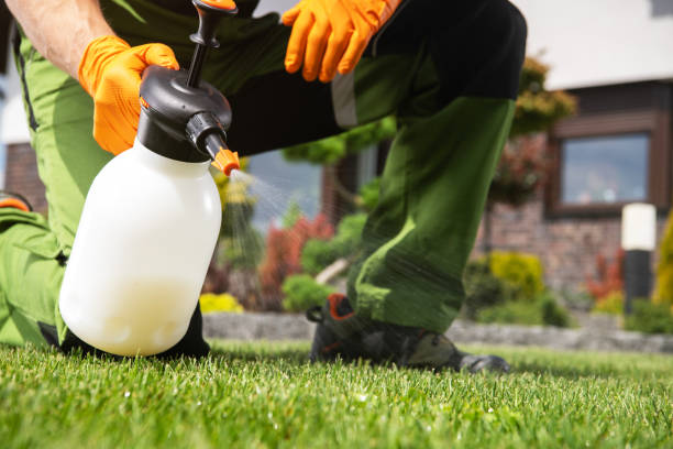 Reliable North Cape May, NJ Pest Control Solutions