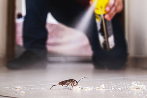 Best Best Pest Control Companies  in North Cape May, NJ
