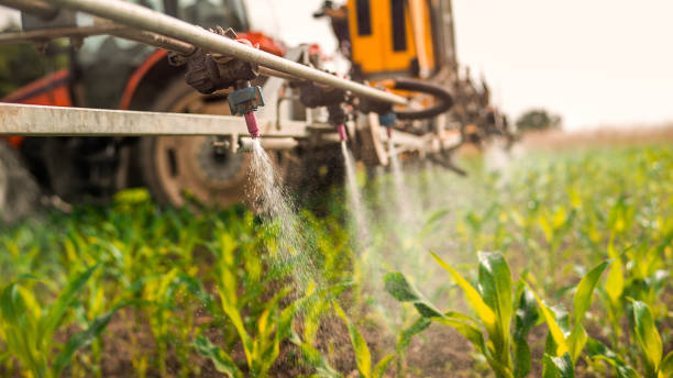 Best Commercial Pest Control Services  in North Cape May, NJ